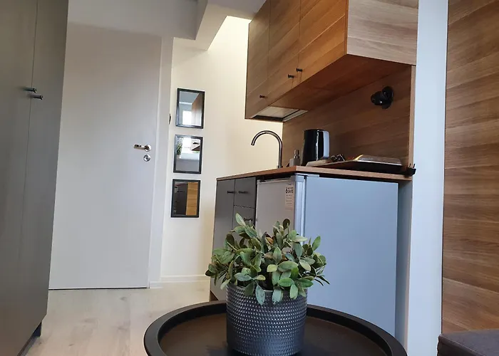 Mt Przy Motlawie * Gdańsk